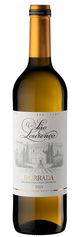 São Lourenço Branco 2023 0