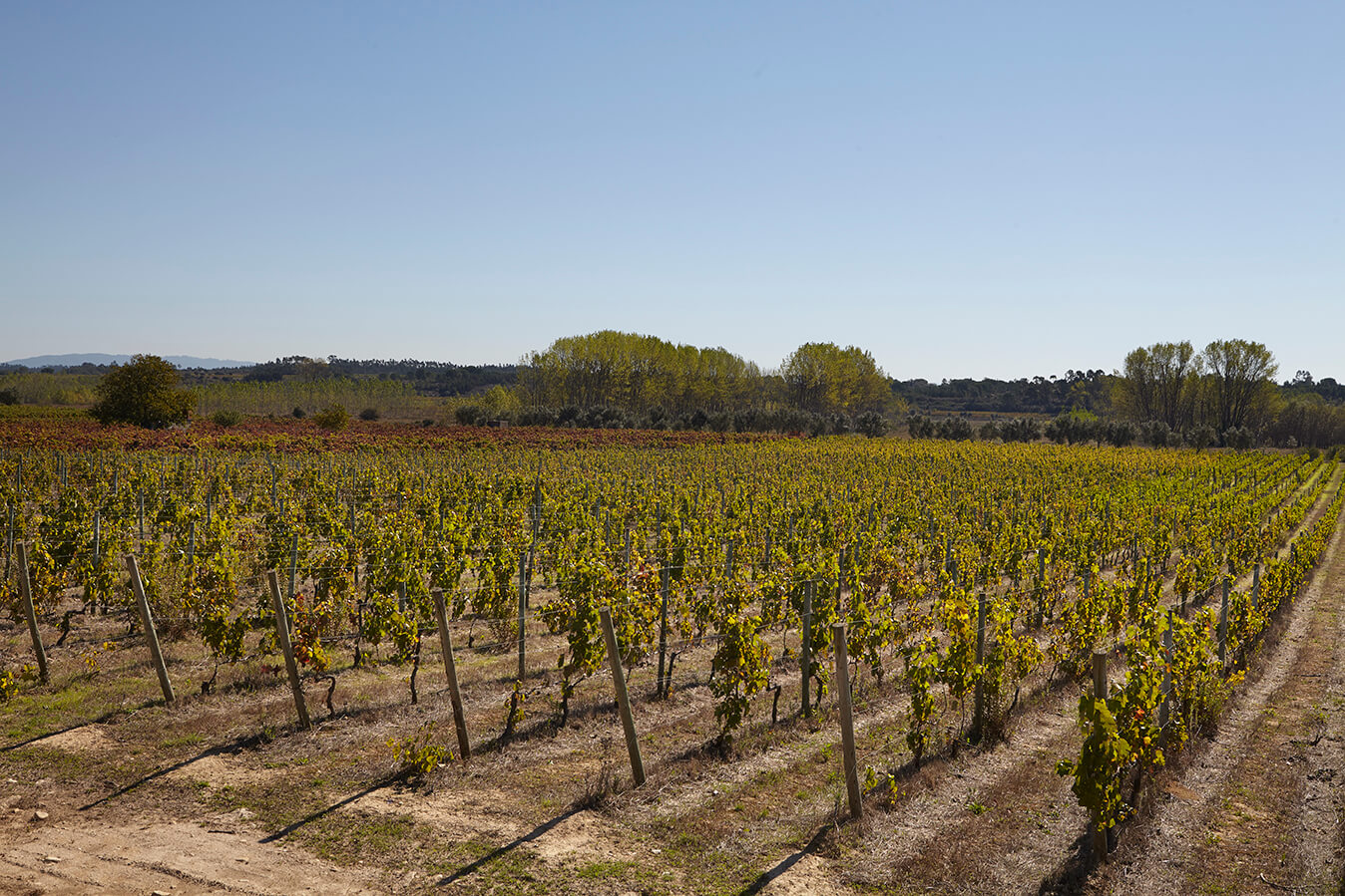 Quinta de Baixo 0