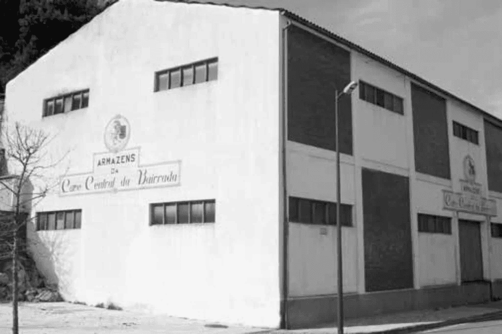 Cave Central da Bairrada 1