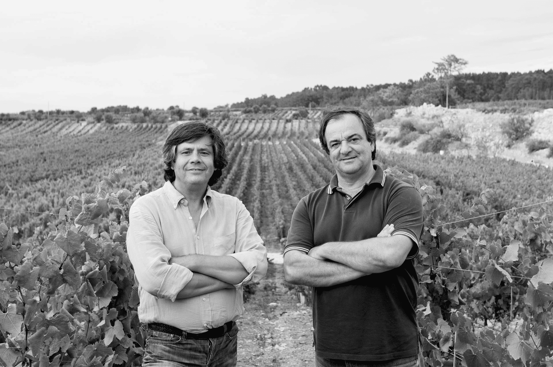 Kompassus Vinhos 1