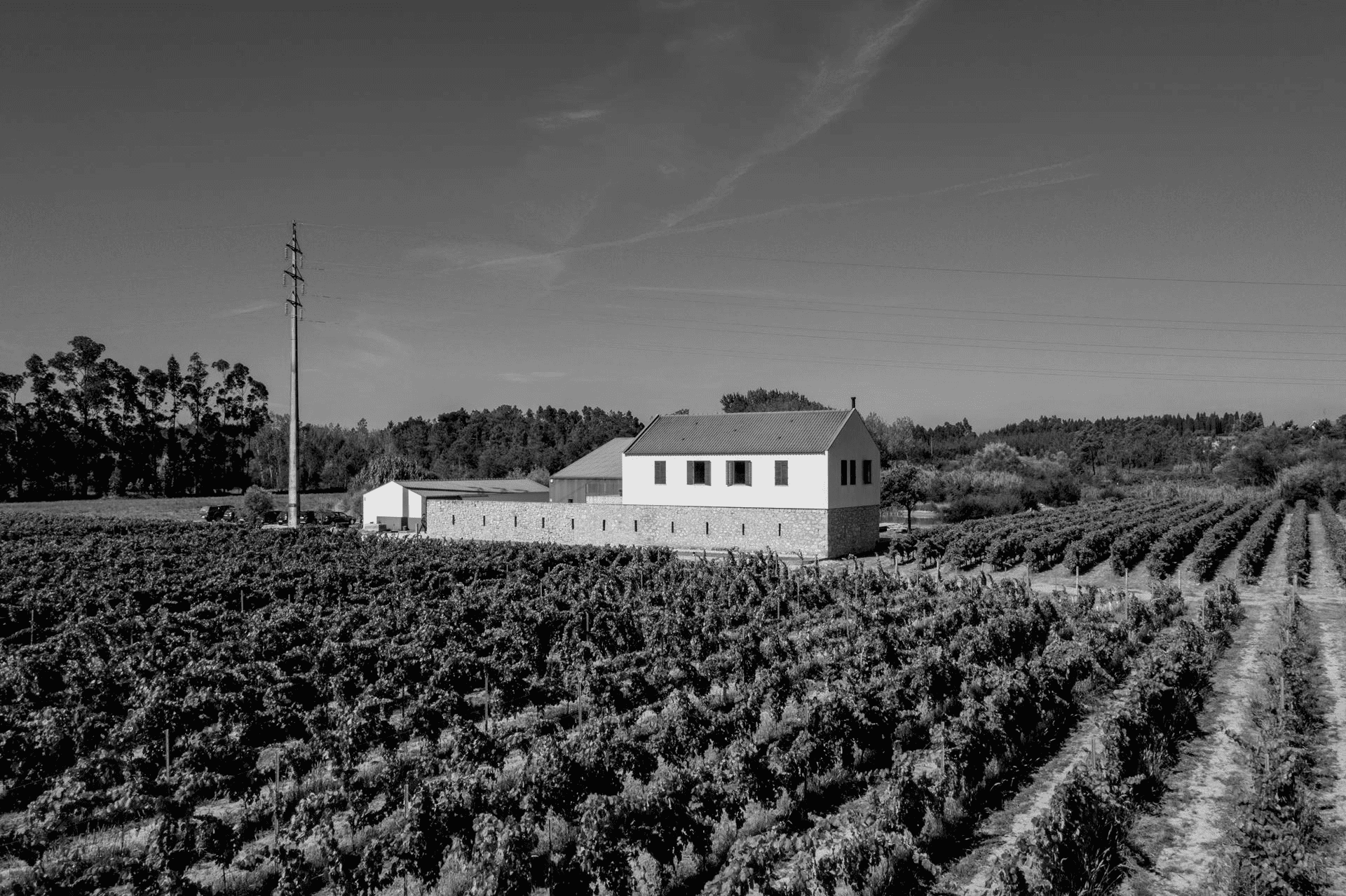 Quinta dos Abibes 1