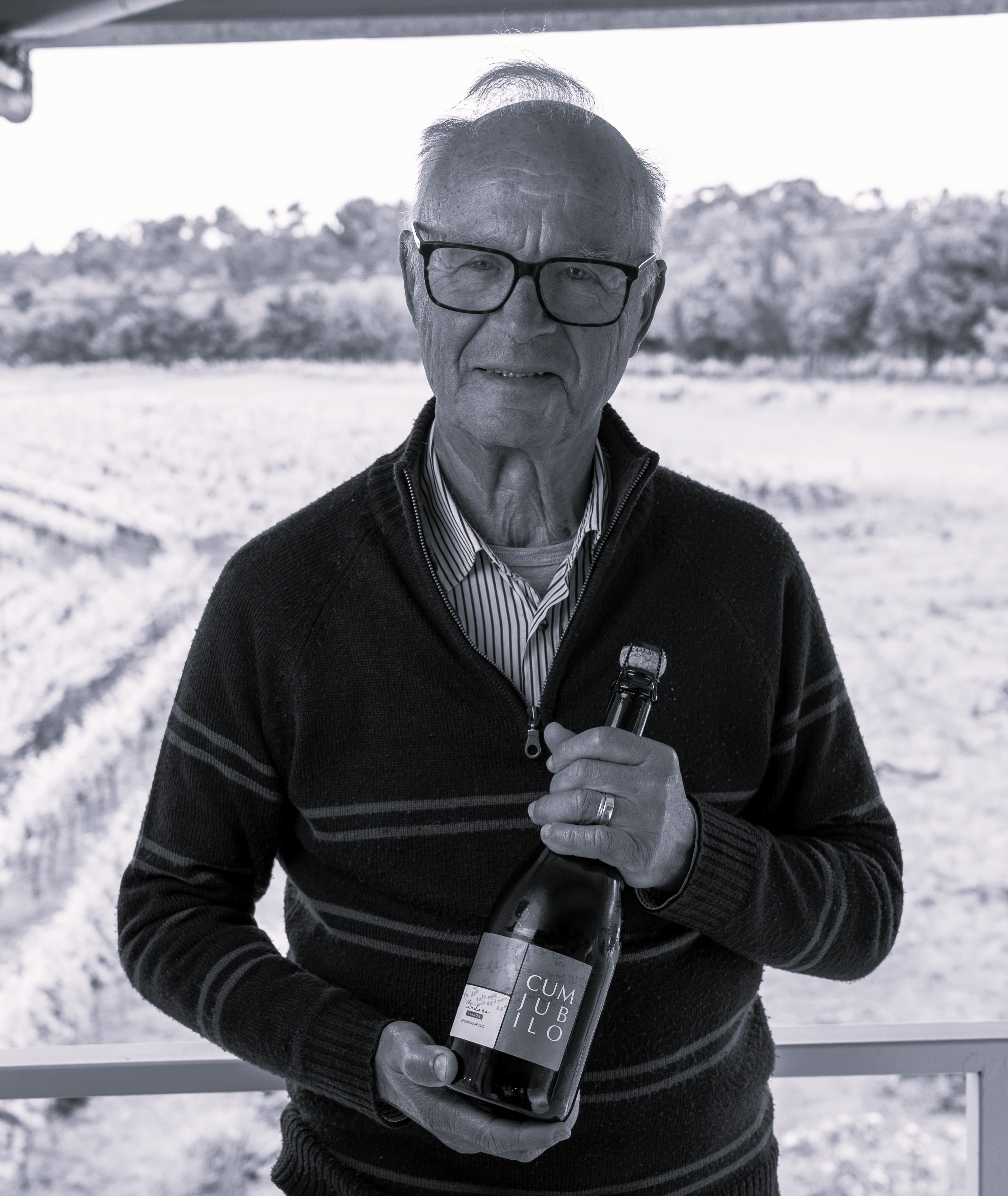 Dias Cardoso Vinhos 0