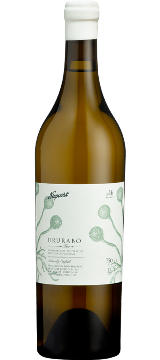 Ururabo Branco 2016 0